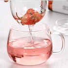 Tea Pot Glass Infuser Mug Teacup With Strainer Loose Tea Fruit Flower Brewer Pot