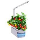 Mini Plant Indoor Plant Garden Smart Mini Gardenhorta LED Growing Plant Self Watering Indoor Herb Garden