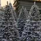 Red Trees 6ft 7ft 8ft Green Red White Blue PVC PE PET Artificial Metal Frame Christmas Trees