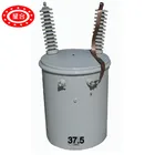 25 Oil 25 Kva 75 Kva 10kv 11kv Single Phase Oil Immersed Distribution Transformer