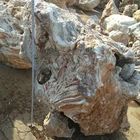Boulders Hot Garden Landscaping Onyx Natural Rocks Boulders