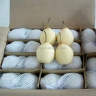 Pears Pear Fruit Chinese Fresh Fruits Ya Pears For Export