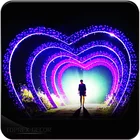 Wedding Wedding Wedding Decor Toprex Decor Wholesale Metal Garden Arch Wedding Stage Decoration