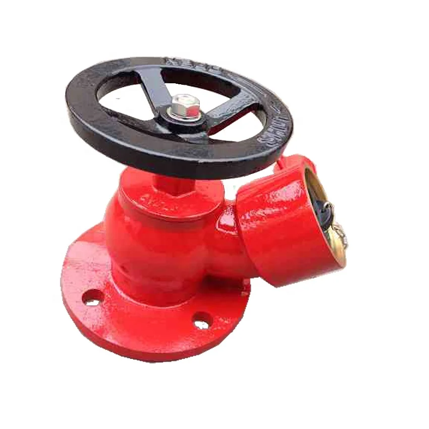 Bsp Flanged Fire Hydrant Landing Buy