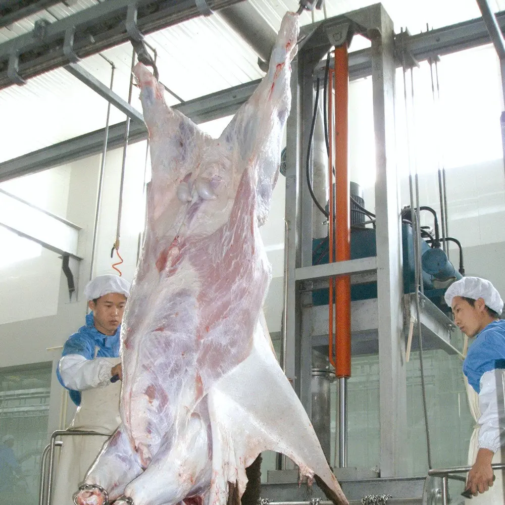 Automatic Abattoir Slaughterhouse Equipment Cattle Hide Beef Skin