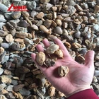 Sintered Magnesia Clinker 85% 90% 92% 93% 96% Ossido Di Magnesio Prezzo