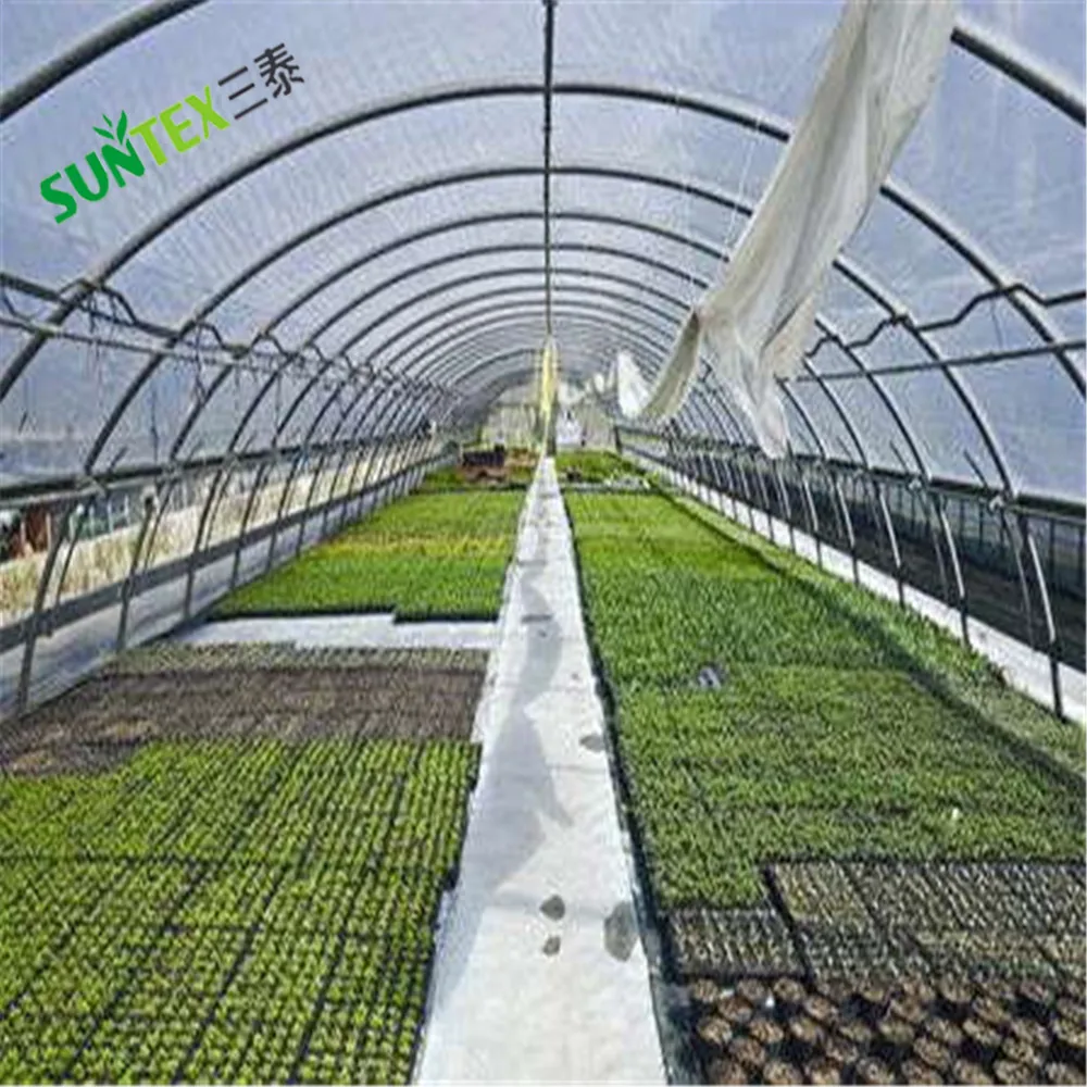 Gardening Clear IRAC Greenhouse Plastic Sheeting Farming 6 Mil - 24' x 50' - 4 Year UV Resistant Infrared Anti-Condensate Green House Covering for Agriculture Farm Plastic Supply
