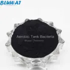 Enzymes Bacteria Enzymes Waste Water Treatment Bacteria Aerobic Tank Bacteria For Active Sludge