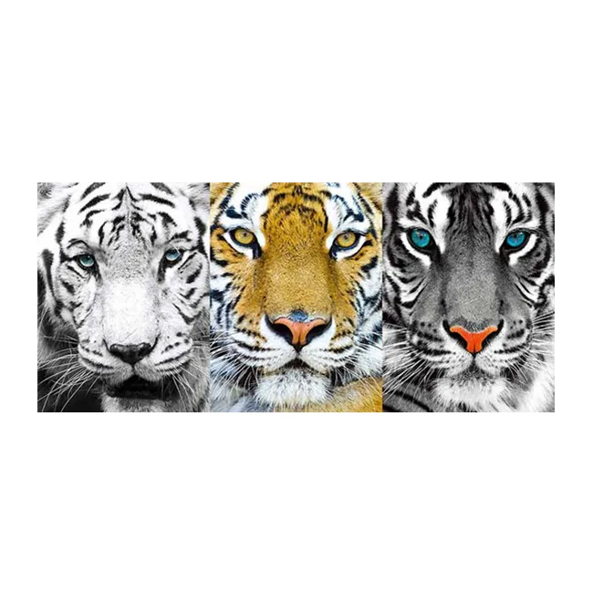 Free Samples Lion Design 3d Pictures Of Animal 3d Lenticular Picture - Buy  3d Pictures Of Horse,Large Size Lenticular 3d Poster,3d Effect Wall Poster  Product on 