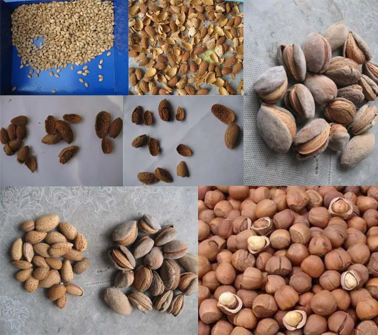 Palm Kernel Cracker and Separator Removal Machine Almond Dehulling Breaking Machine factory