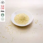 HALAL Chicken Essence Flavoring Powder