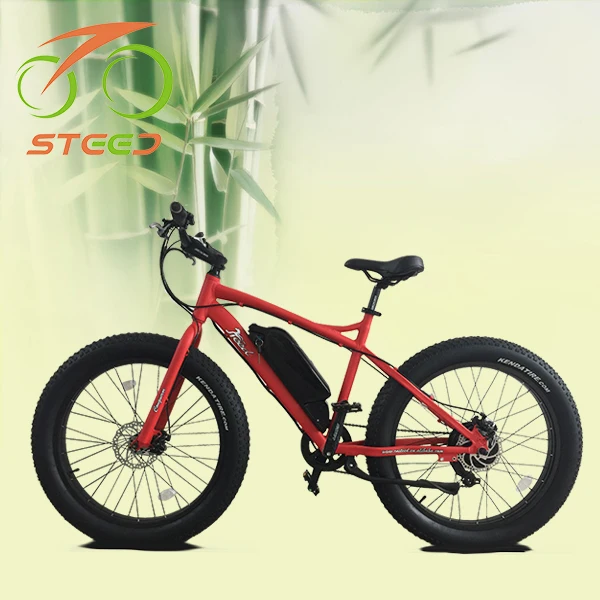 battery electric cycle price
