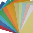 Paper A4 A4 Colour Paper New Design Leather Grain Decorative Paper A4 Size 250gsm Embossed Color Bristol Board