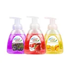 Liquid Hand Soap Liquid Liquid Hand Soap Liquid Hand Soap Customize Nice Scent 300ml Foam Handwash Liquid Soap