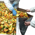 Chips Vacuum Fried Mixed Vegetable Chips Fruit Chips