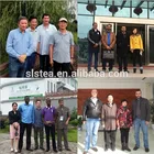 Loose Tea Green Chunmee Green Tea Loose Tea Leaves/Chunmee Green Tea/Tea Manufacturer