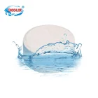 Calcium Hypochlorite Factory Supplier China 10g Tablet Calcium Hypochlorite