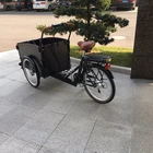 3 Wheel Electric Bicycle With 3 Wheel Adult Cargo Bike Electric Scooter Electric Bike