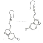 Sterling Silver Earrings Silver Customized 925 Sterling Silver Chemistry DNA Molecules Earrings