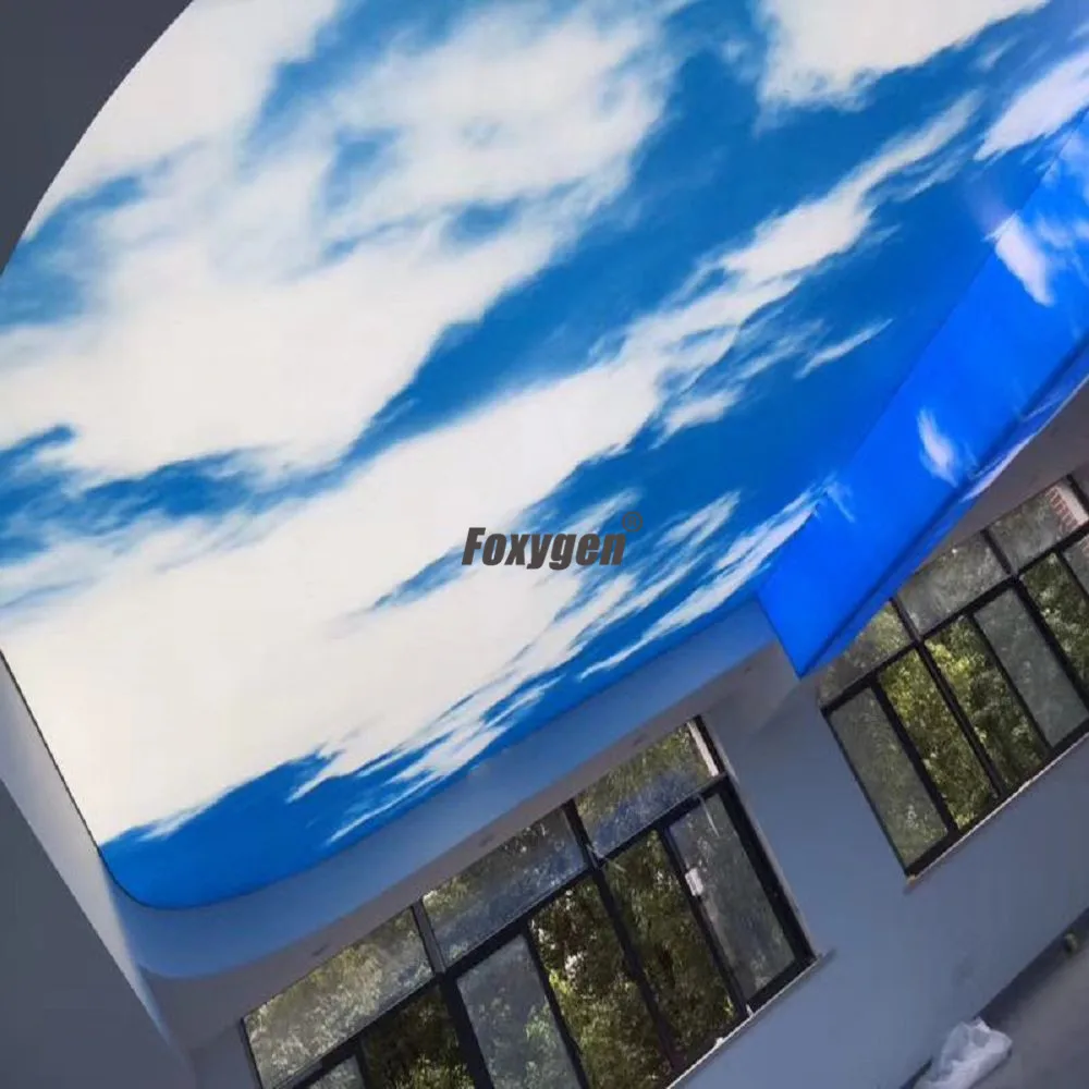 展示1