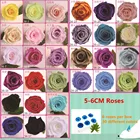 Roses Rose Preserved Roses Everlasting Roses Preserved Fresh Rose Real Natural Preserved Roses