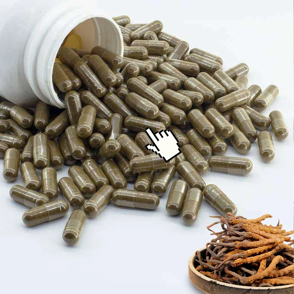 cordyceps sinensis capsules