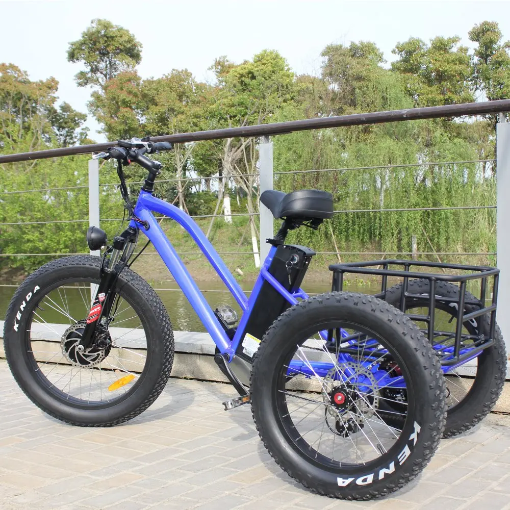 fat tire cargo bike