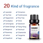 Oil Essential OEM ODM 6PC Aromatherapy Oil Gift Set Lavender Eucalyptus Essential Oil Set Private Label