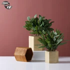 Flower Container Desktop Hexagon Shape Flower Container Office Indoor Succulent Glaze Ceramic Plant Pot