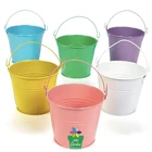 Decorative Bucket Buckets Metal Bucket Colorful Mini Garden Decorative Powder Coated Metal Tin Bucket
