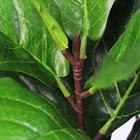 Garden New Fashion Double Ficus Lyrata Faux Garden Plants With Potted For Sale