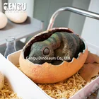 Egg Dinosaur Egg Excavation Kit Hatching Dinosaur Egg