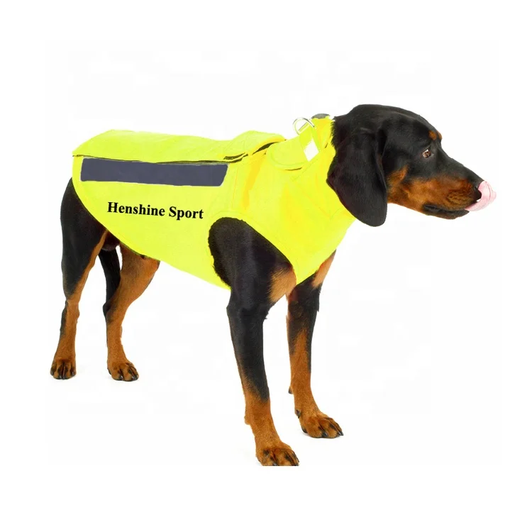 are weighted dog vest safe to use