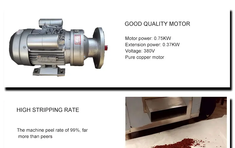 Commercial Automatic Cocoa Bean Peeling Peeler Cocoa Bean Skin Removing Winnowing Separating Machine factory
