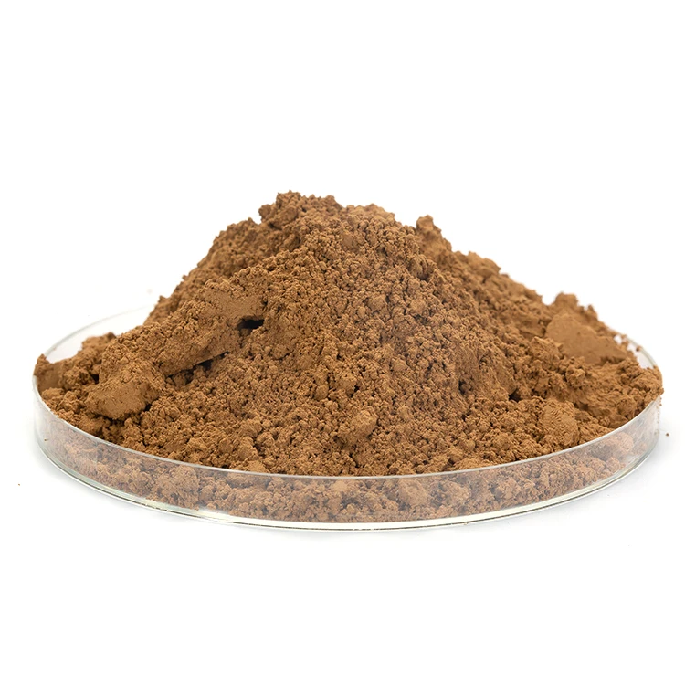 High Quality Botanical Extract Reishi Powder Ganoderma Lucidum Extract