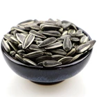 Sunflower Hot Sale China Non Gmo Sunflower Seeds Sunflower Seeds 363