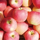 Apple Apple Fresh Fuji Apple From Shandong 2020 Crop