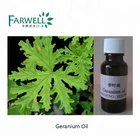 Oil Farwell Pelargonium Graveolenes / Geranium Oil CAS#8000-46-2