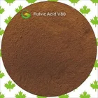 Pesticide Pesticide 100% Nature Pesticide Neem Extract Powder 10:1