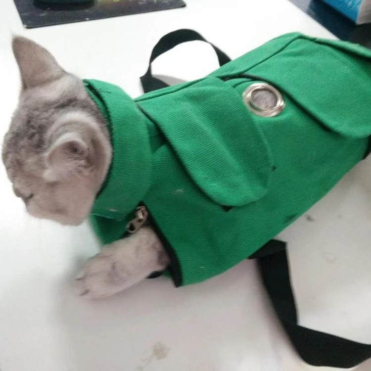 cat bag vet