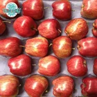Fuji Apple Apple Fresh Red Fuji Apple Fuji Apple Chinese Exporter