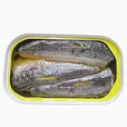 125g Canned Sardine Fish Wholesale In Oil Delicious Cheap Price From Morocco