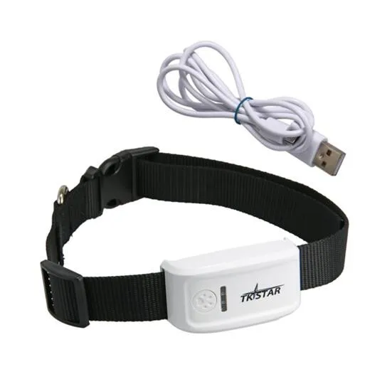 link gps collar