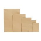 Paper Bag Paper Design Paper Bag Custom Smell Proof 3 Side Seal Kraft Paper Aluminum Foil Seeds Bag