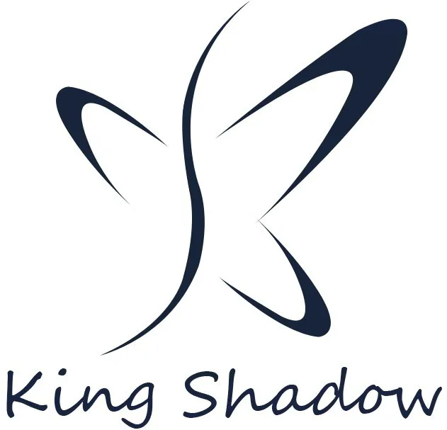 Company Overview Guangzhou City Kingshadow Hair Beauty Salon