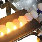 High Quality Automatic Egg Washing Machine / Egg Washer