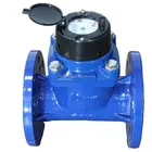 Stainless Steel Cover Big Flow Water Meter /Removable Water Meter