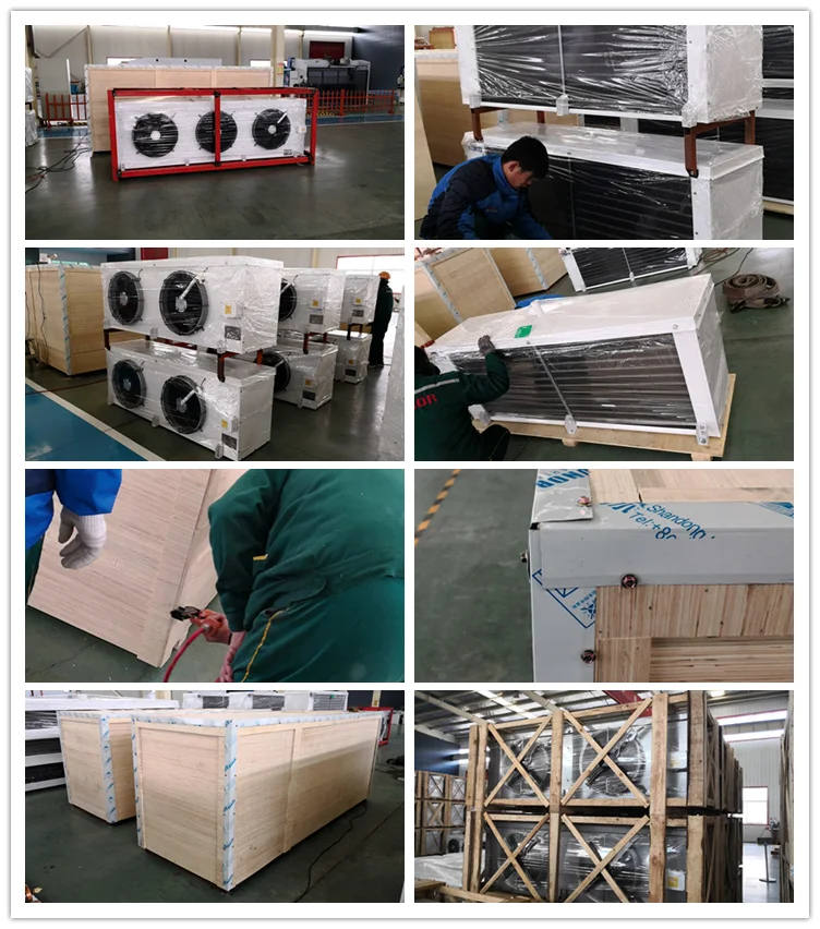 Cold Storage Air Cooler, 220 V - detail 62