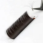 Eyelash Lash Eyelash Extensions Easy Fan Eyelash Extentions Lash Extensions Easy Bloom Black Matte Mega Eyelash Extensions