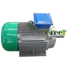 Generator Electric 13kW 200rpm Permanent Magnet Generator Wind Turbine Generator Brushless Electric Alternator